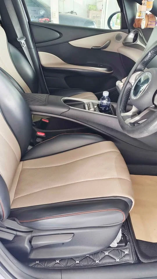 2024 BYD Dolphin 2