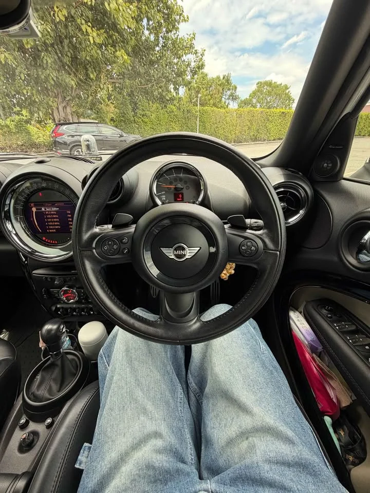 2017 Mini Countryman I 3
