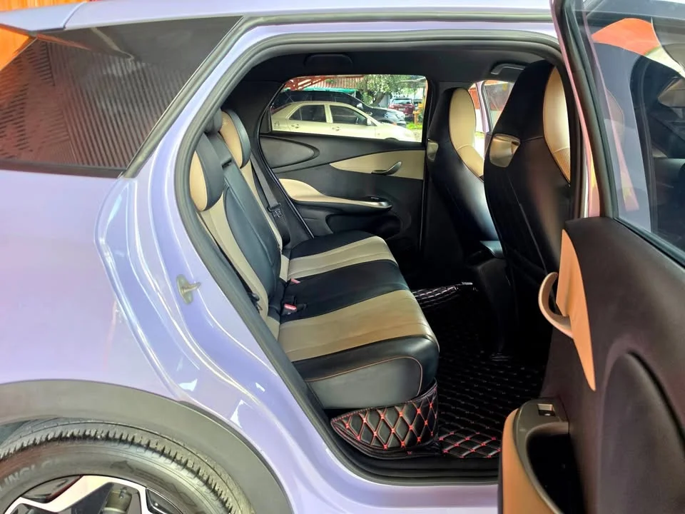 2023 BYD Dolphin 2