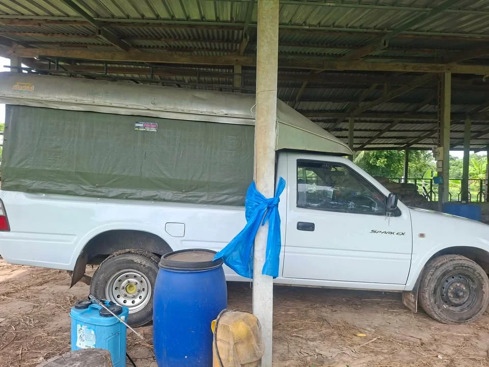2000 Isuzu Faster Dragon Eyes III 3