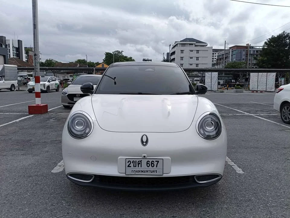 2021 GWM Ora Good Cat 2