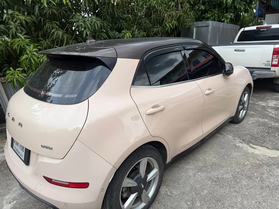 2022 GWM Ora Good Cat 2