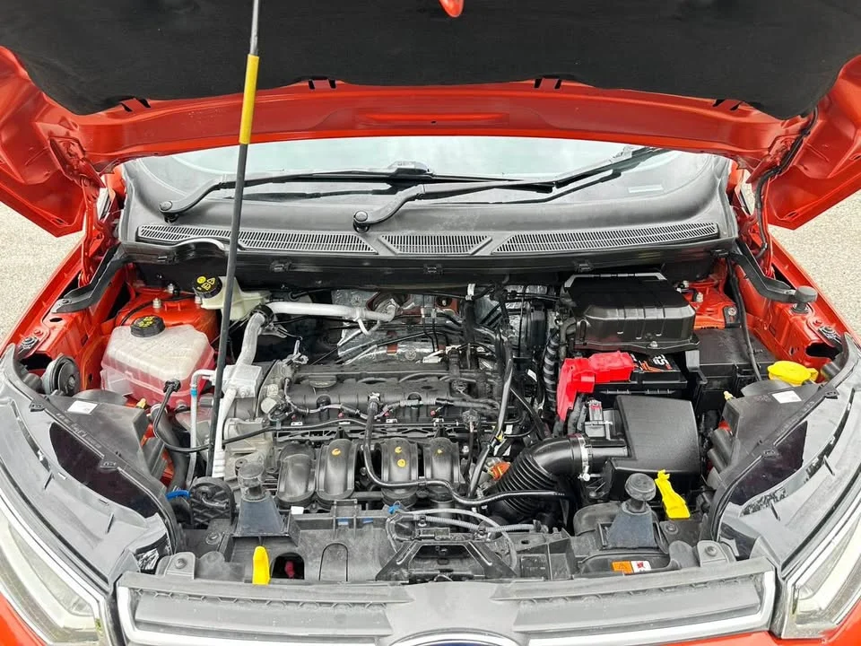2014 Ford EcoSport II 2