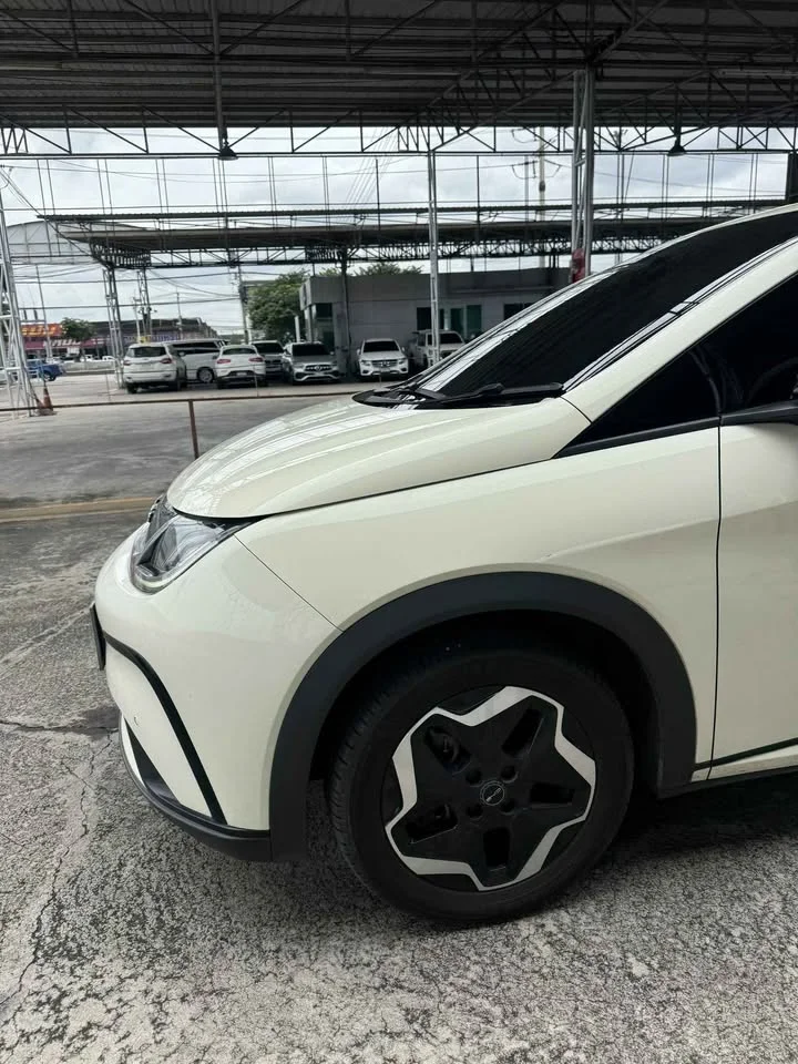 2023 BYD Dolphin 3