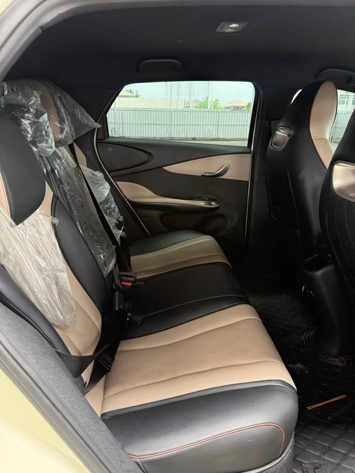 2023 BYD Dolphin 2