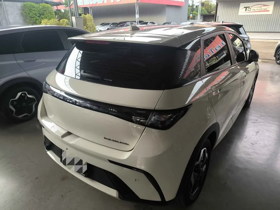 2023 BYD Dolphin 3