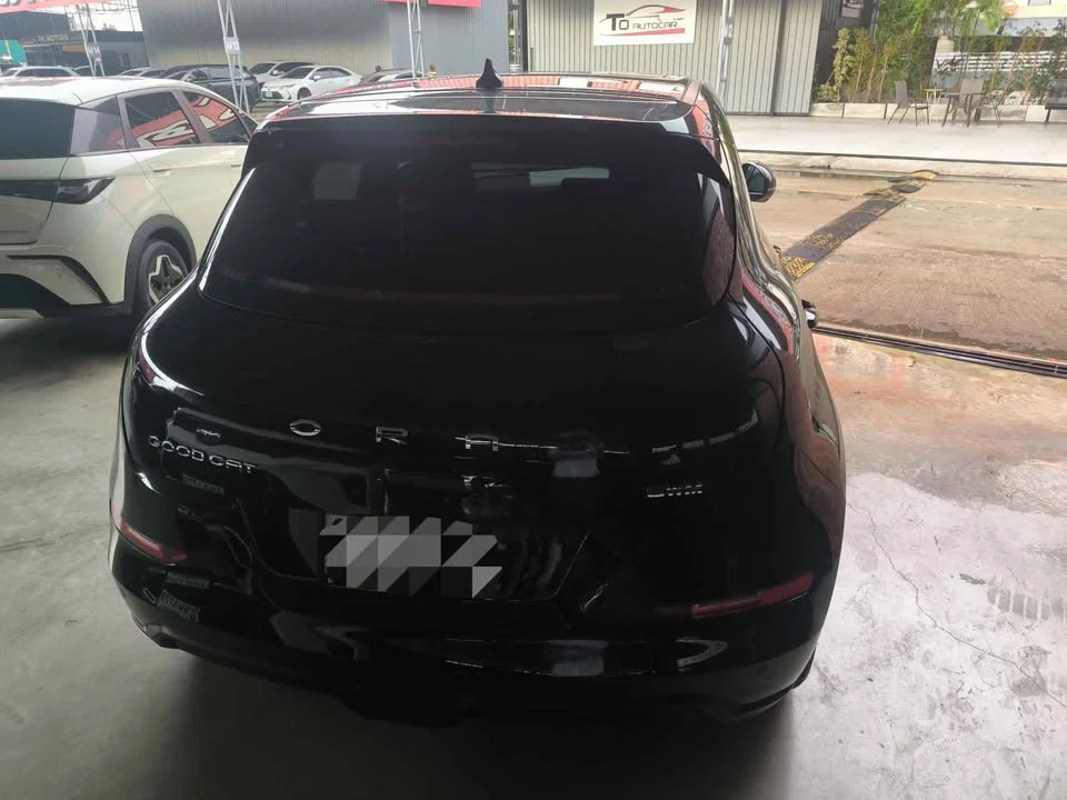 2022 GWM Ora Good Cat 2