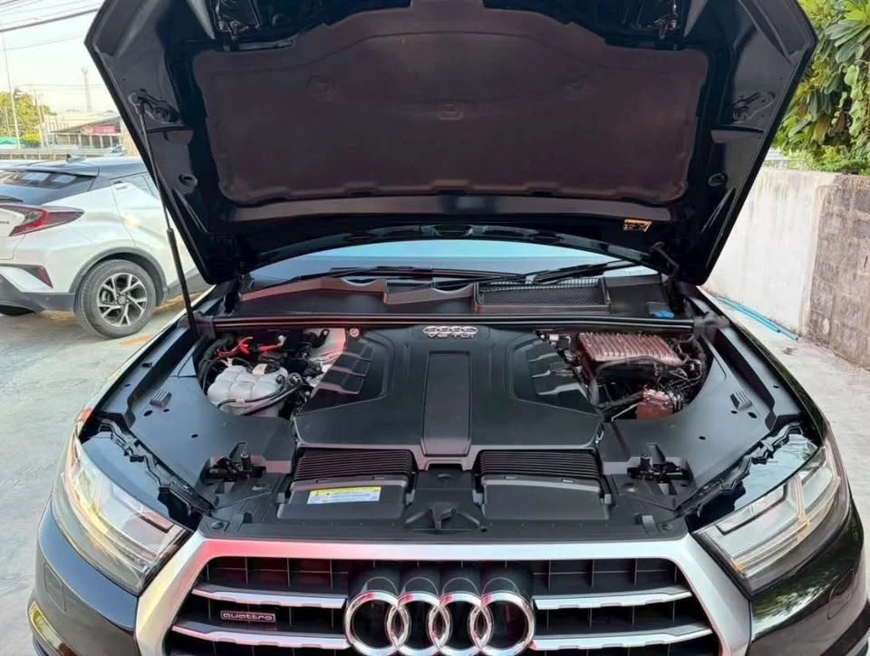 2019 Audi Q7 II (4M) 2