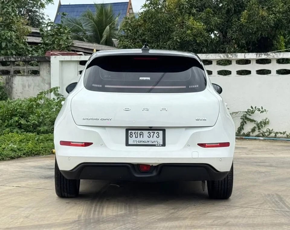 2024 GWM Ora Good Cat 2