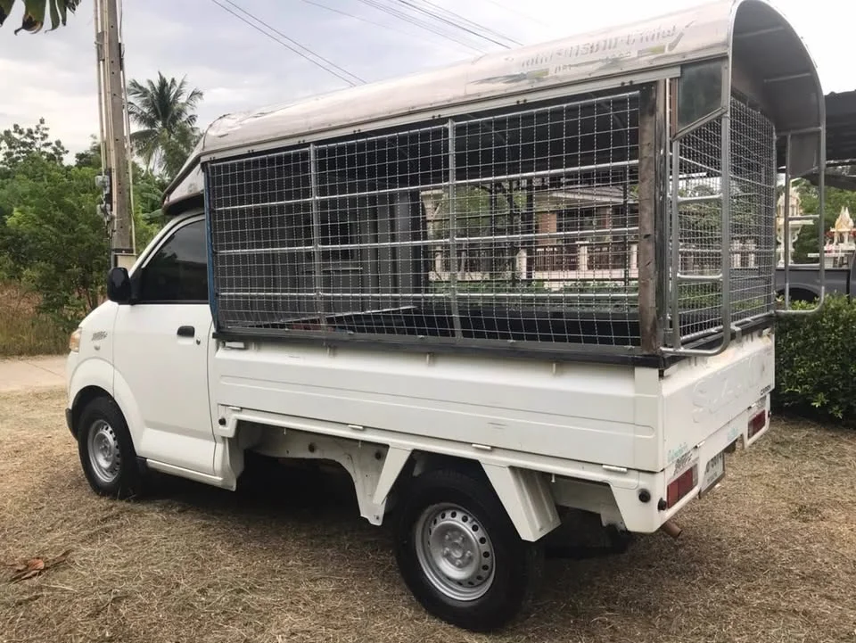 2013 Suzuki Carry I 3