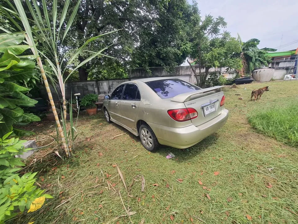 2005 Toyota Corolla Altis IX (E120) 2