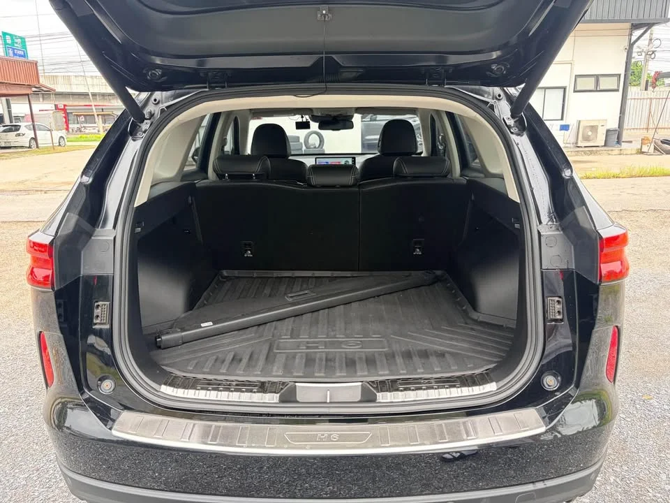 2021 GWM Haval H6 III 2