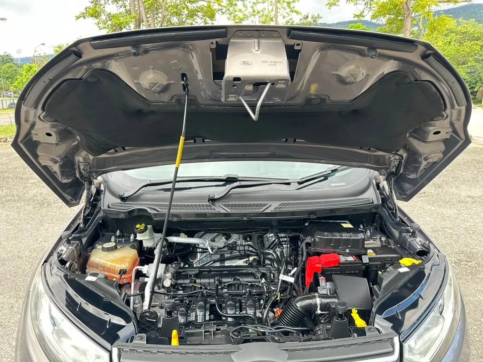 2017 Ford EcoSport II 3