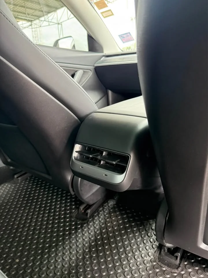 2020 Tesla Model 3 3