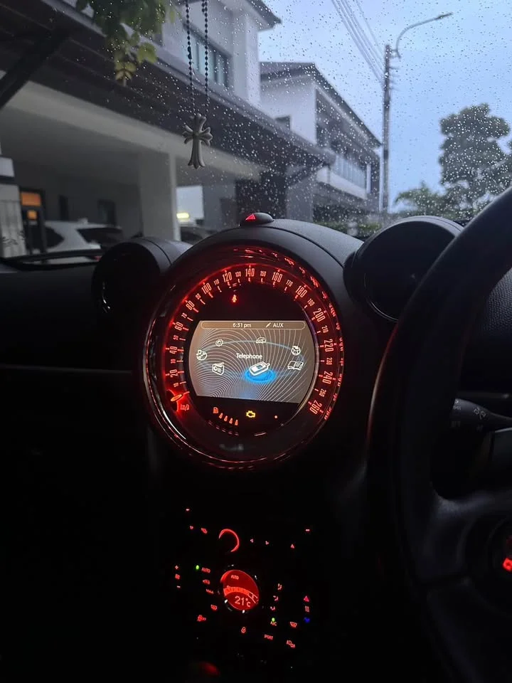 2014 Mini Countryman I 3
