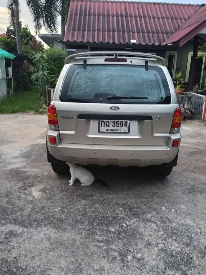 2006 Ford Escape I 2