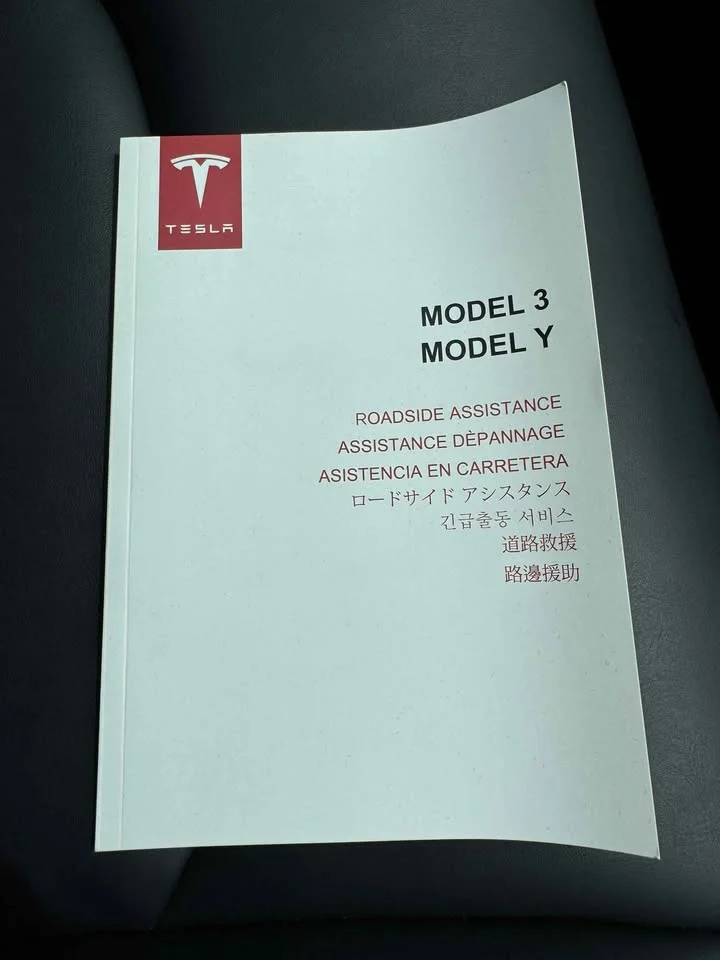 2021 Tesla Model 3 3