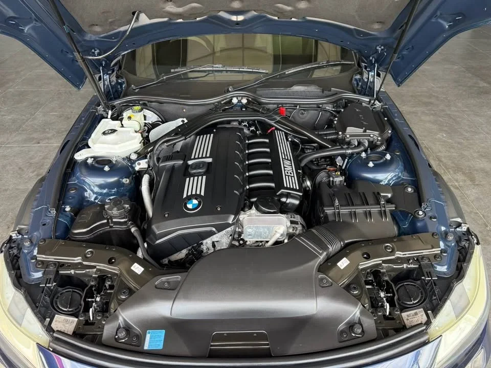 2009 BMW Z4 E89 3