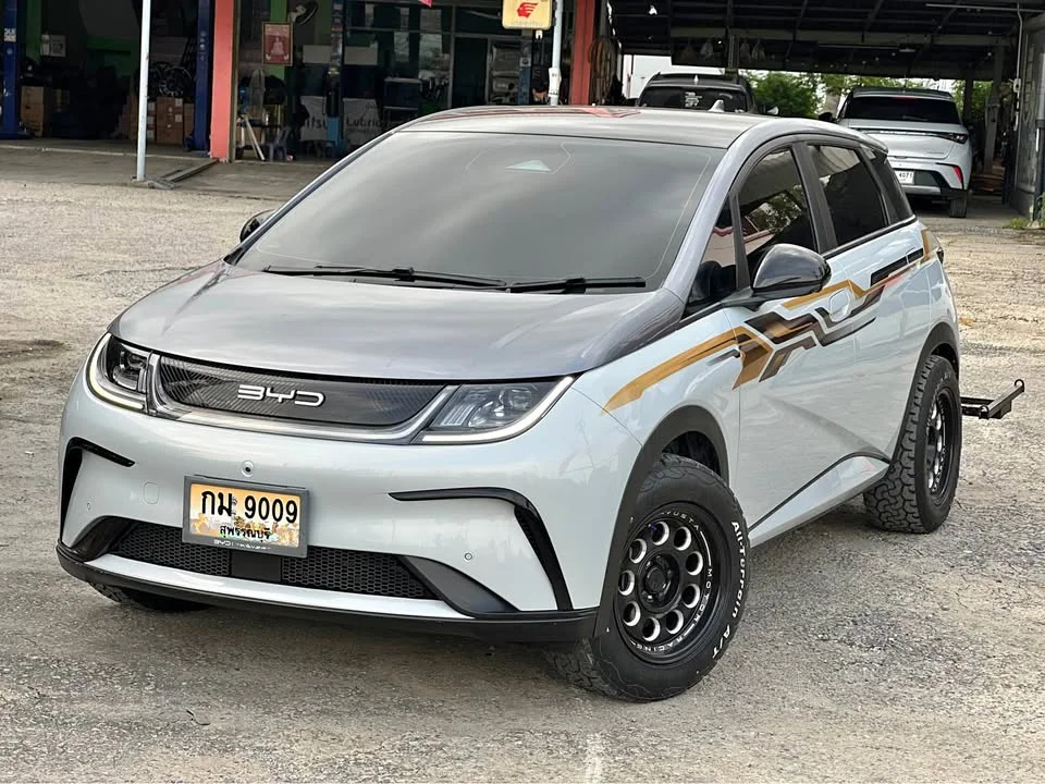 2023 BYD Dolphin 3