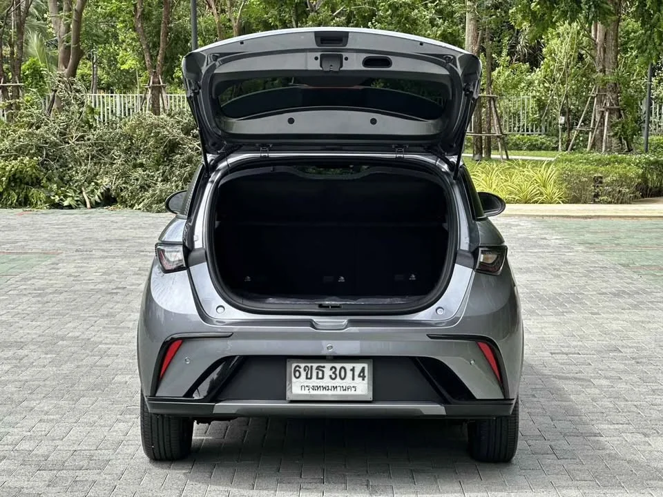 2024 BYD Dolphin 3