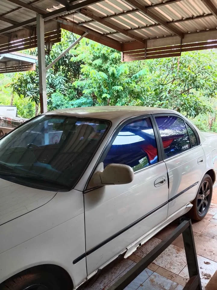 1986 Toyota Corolla Altis VII (E100) 2