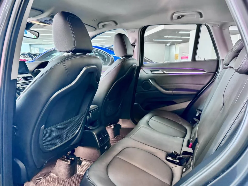 2020 BMW X1 F48, F49 2