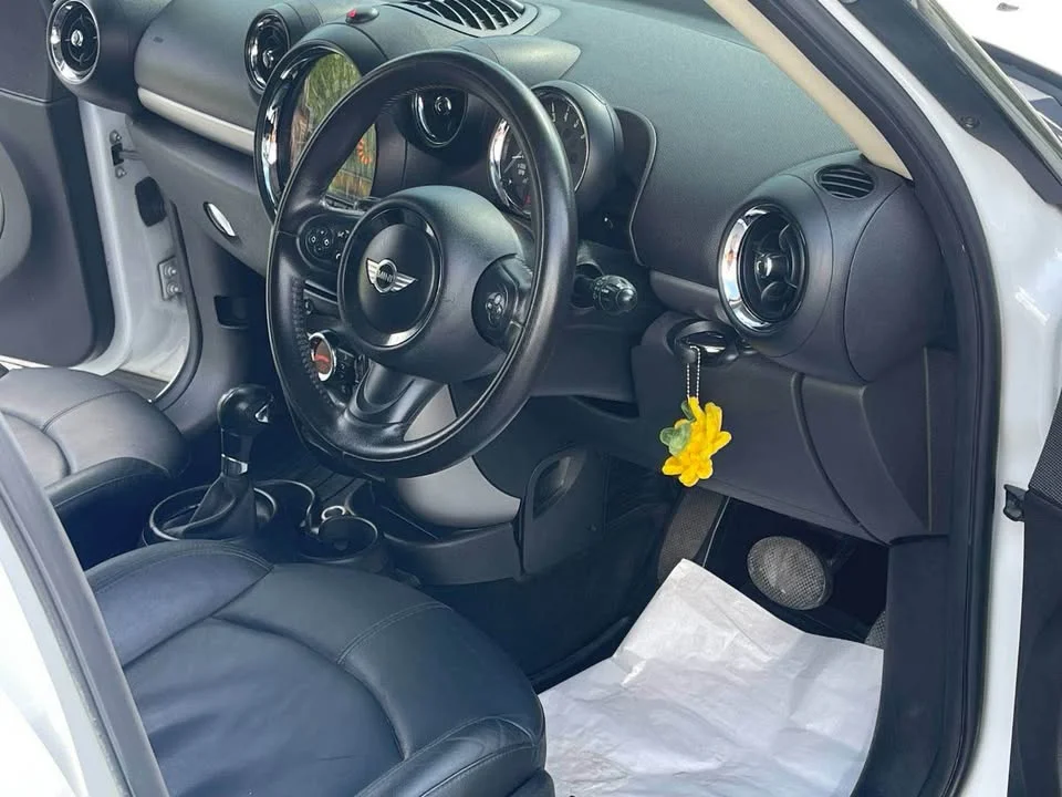 2015 Mini Countryman I 3