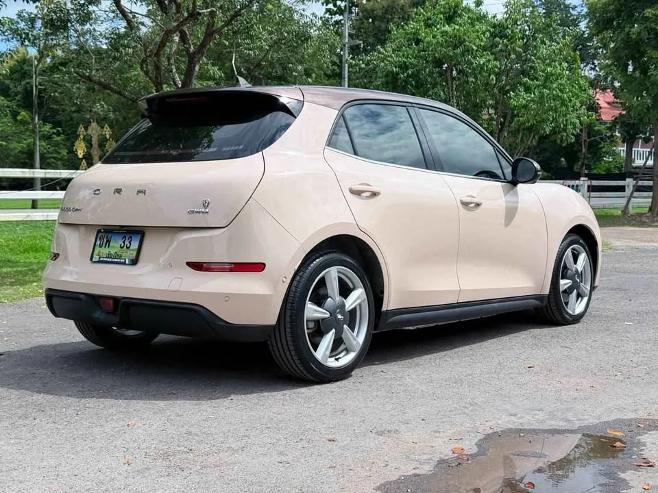 2022 GWM Ora Good Cat 2