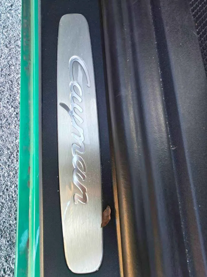 2016 Porsche 718 Boxster and Cayman IV 2