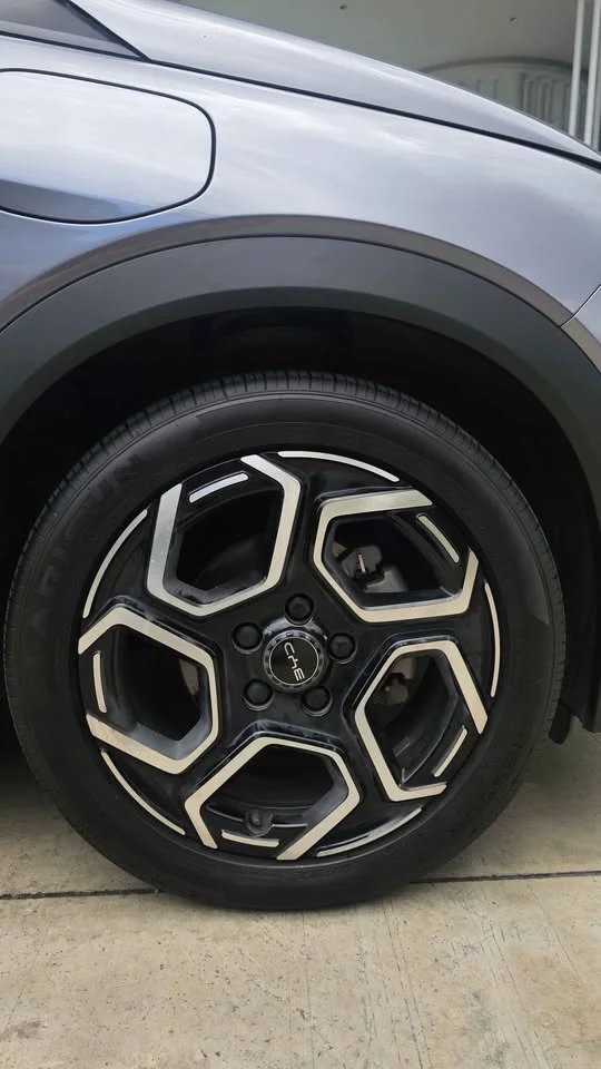 2024 BYD Dolphin 2