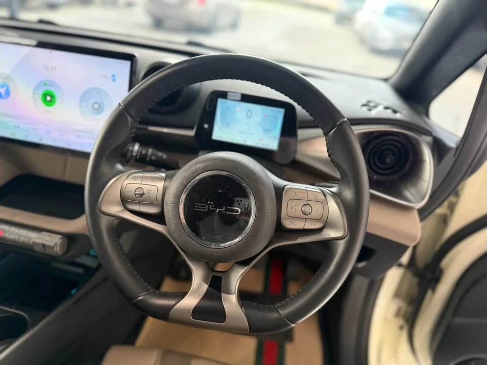 2023 BYD Dolphin 3