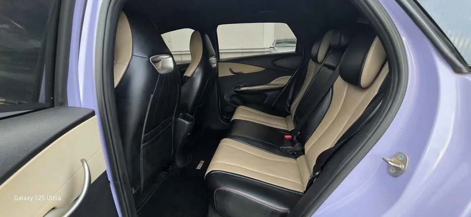 2023 BYD Dolphin 2