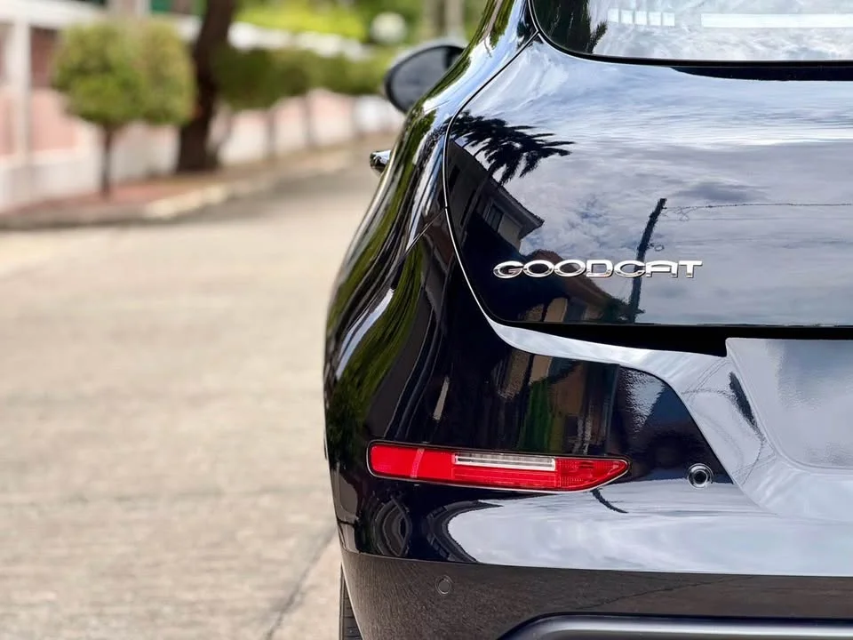 2022 GWM Ora Good Cat 2
