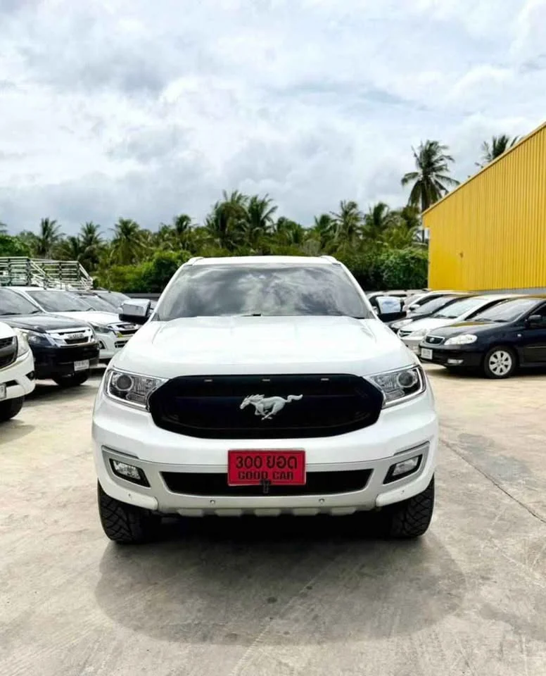 2018 Ford Everest II 2