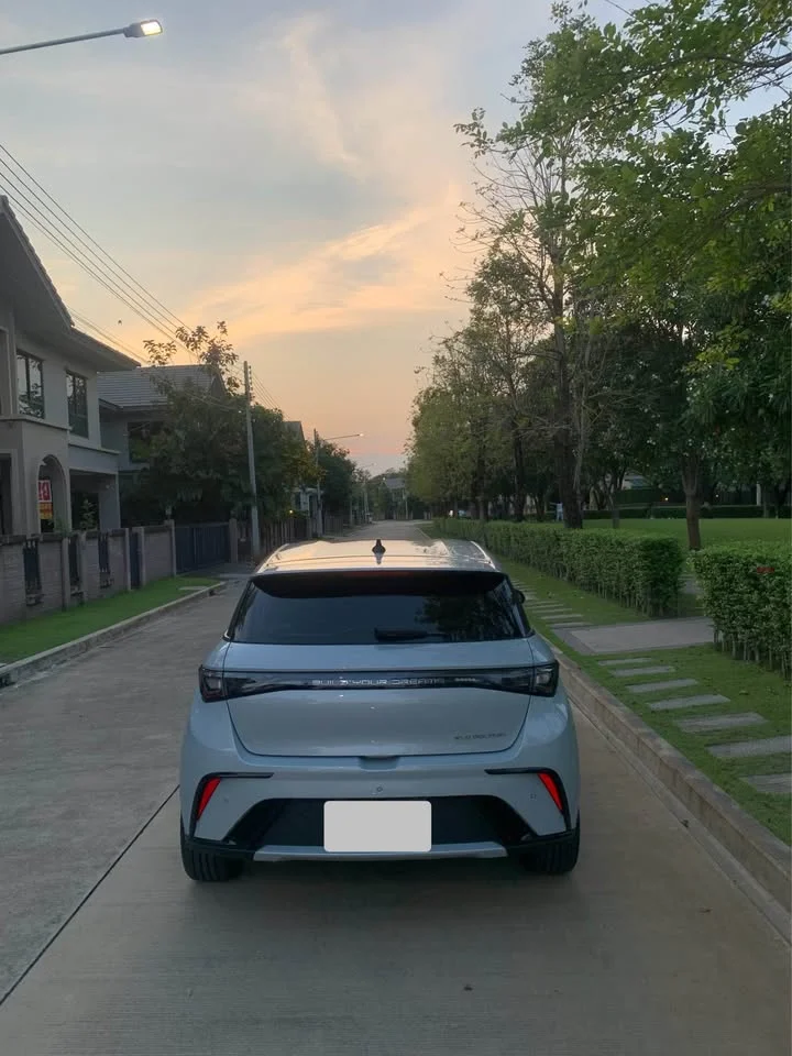2024 BYD Dolphin 2