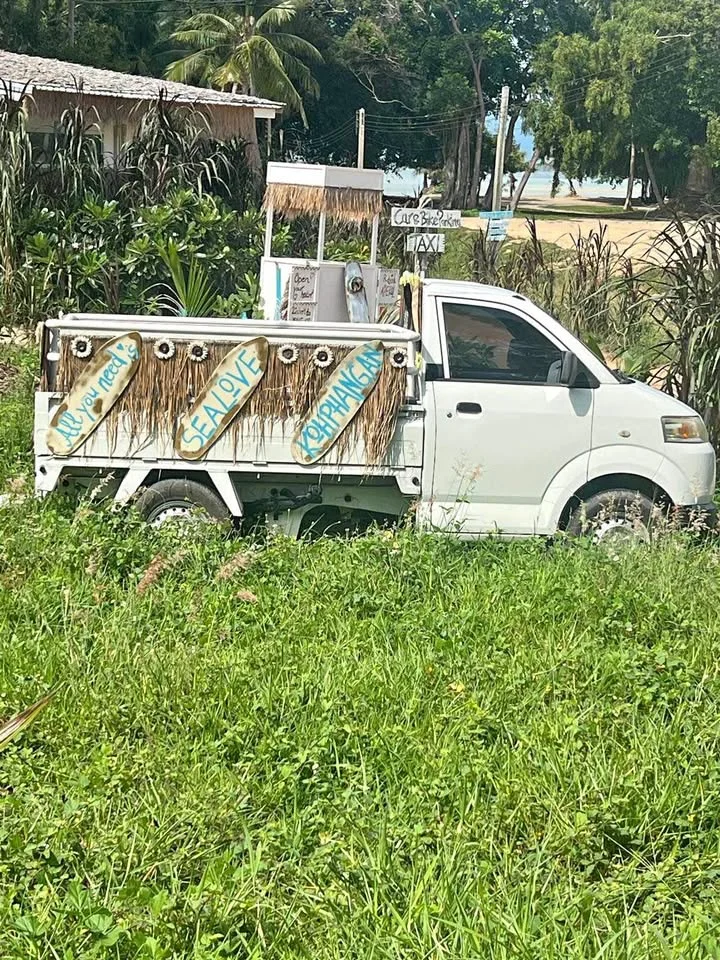 2017 Suzuki Carry I 3