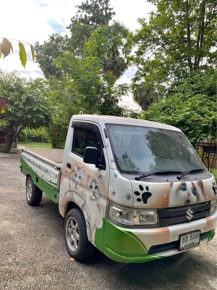 2020 Suzuki Carry II 2