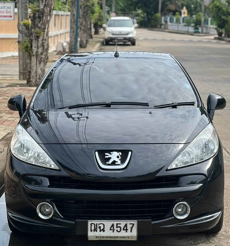 2008 Peugeot 207 2