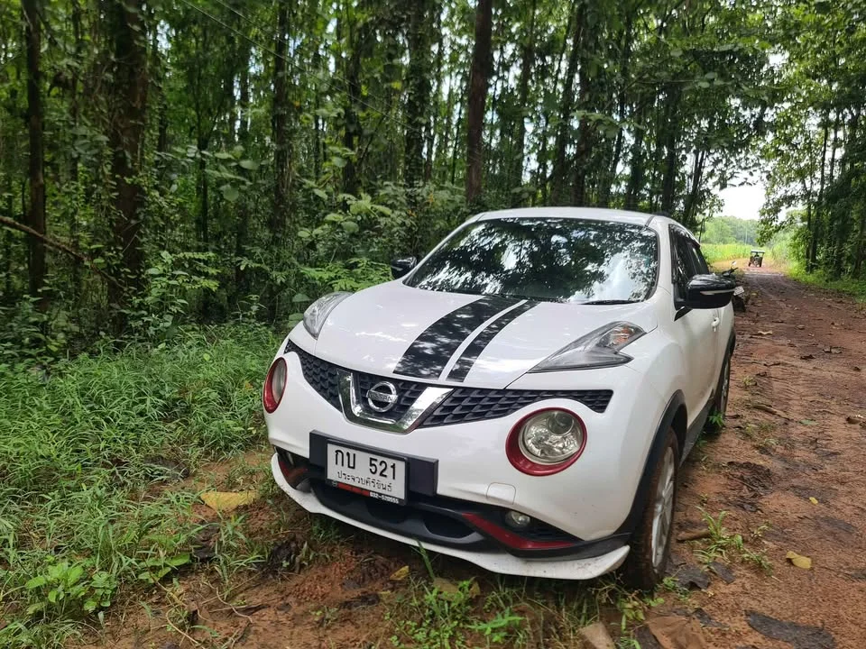 2015 Nissan Juke I (F15) 3