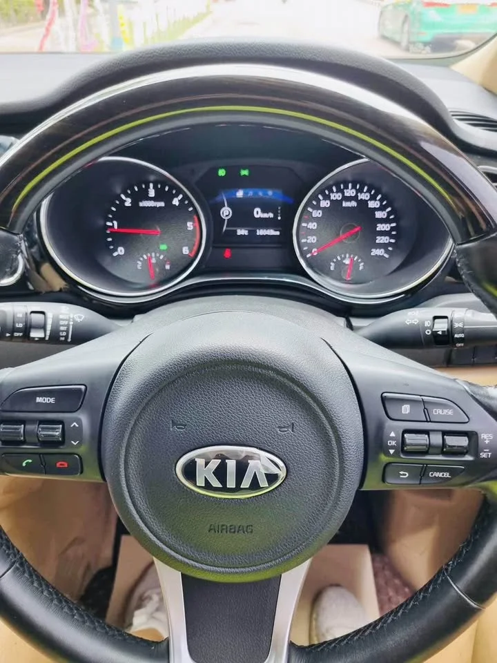 2015 Kia Carnival III 2