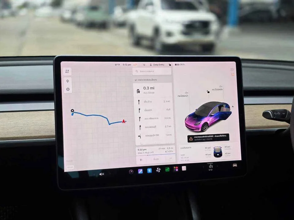 2021 Tesla Model 3 3