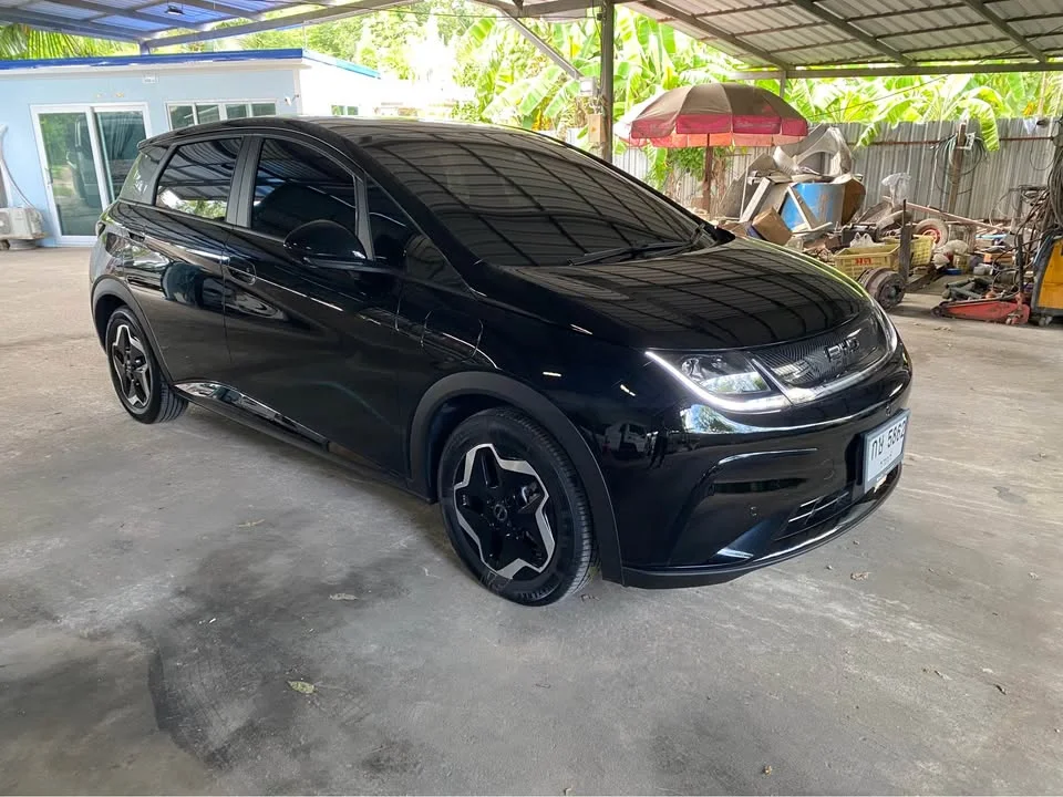 2025 BYD Dolphin 2
