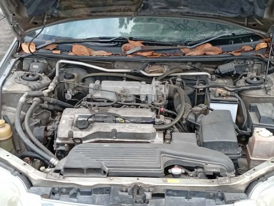 2003 Mazda 323 VIII 3