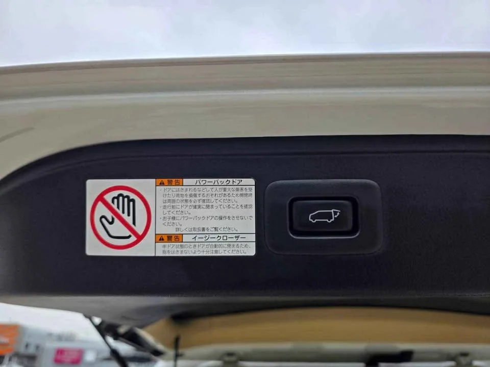 2019 Toyota Alphard, Vellfire III (AH30) 3