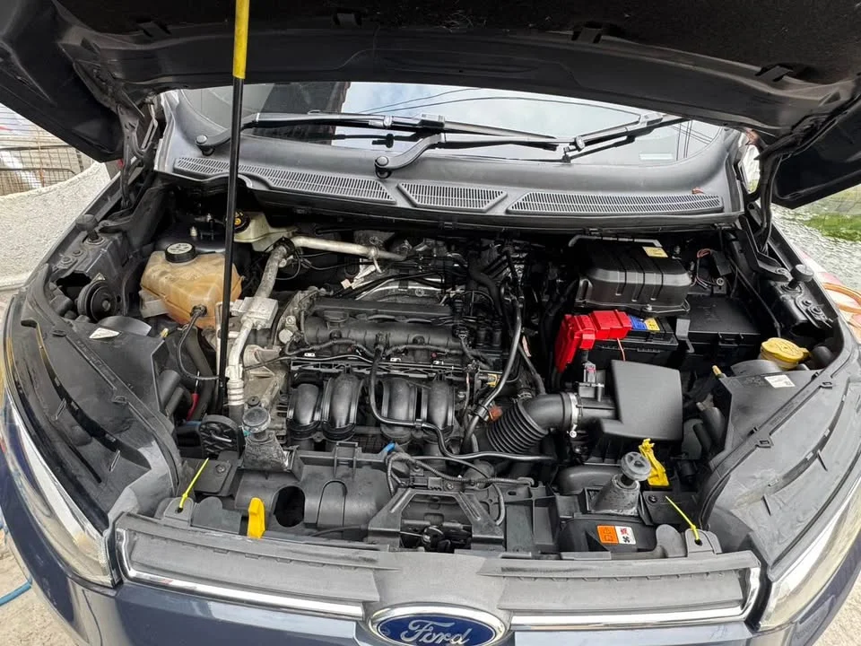 2014 Ford EcoSport II 3
