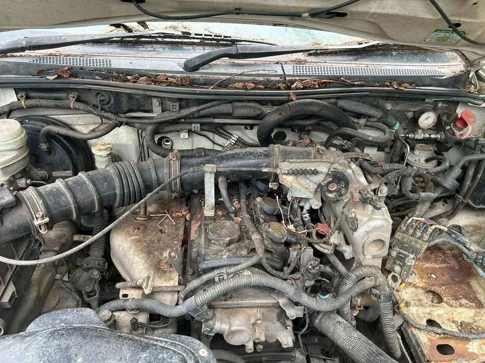 2012 Mitsubishi Triton IV 2