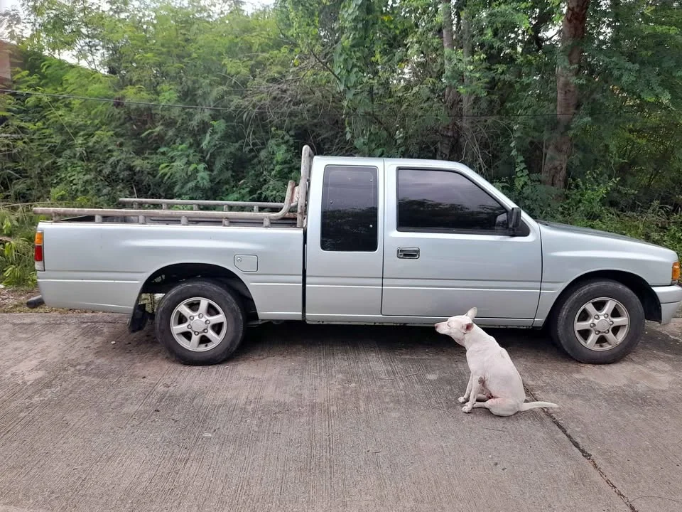 1989 Isuzu TFR III 2