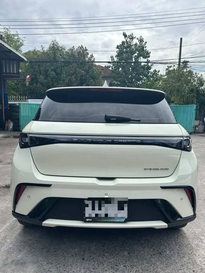 2023 BYD Dolphin 3