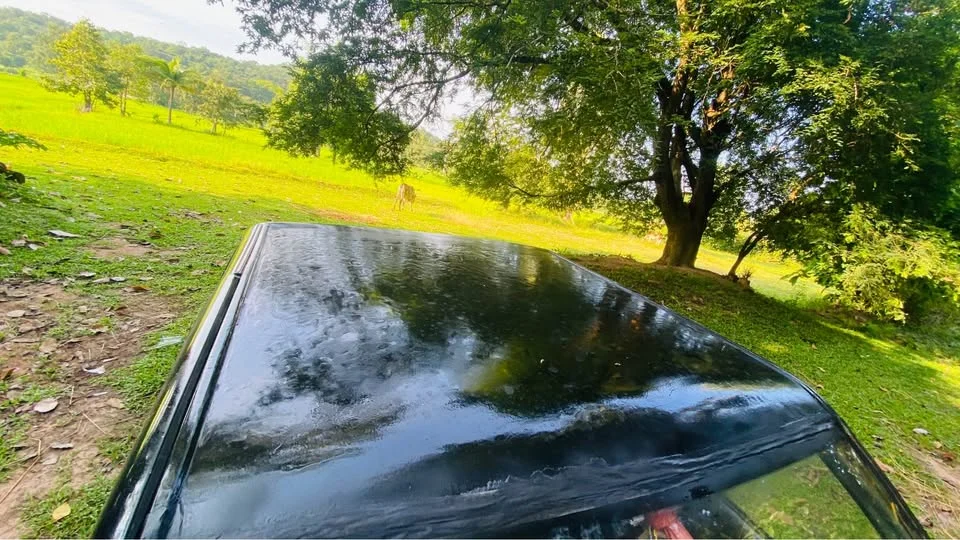 1995 Isuzu TFR III 2