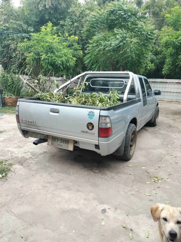 2002 Isuzu Faster Dragon Eyes III 2
